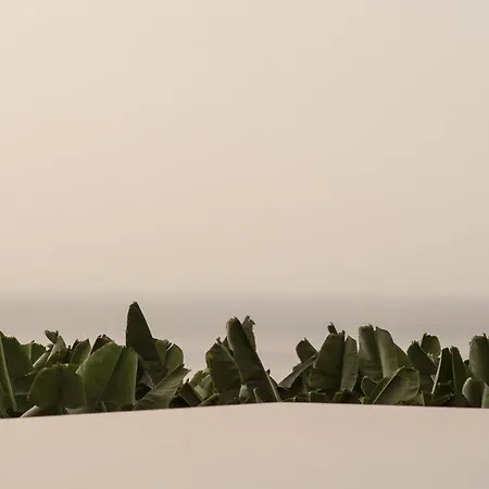 Hacienda Cuatro Ventanas *