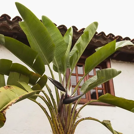 Вилла Hacienda Cuatro Ventanas *