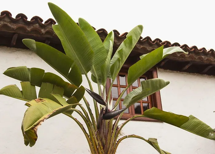 Villa Hacienda Cuatro Ventanas *